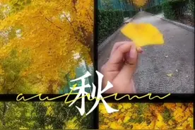 《游新郑》 作者：刘紫钰  学校：郑州经贸学院
#新生游新郑视频封面