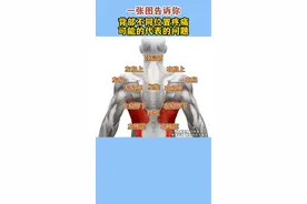 一张图告诉你，背部不同位置疼痛，可能代表的问题。评论区告诉我你是哪里疼痛#背部疼痛#腰背疼痛#疼痛  #健康科普 视频封面