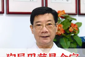 狗尾巴草是个宝，4种搭配要收好#狗尾巴草 #中医养生 #硬核健康科普行动  @抖音短视频视频封面