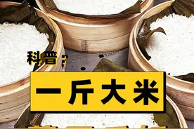 一斤大米，竟可以蒸出五斤米饭？双蒸饭究竟是什么？ #科普一下