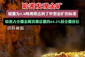 哈密发现金矿，储量为5.8吨规模达到了中型金矿的标准，哈密占全疆金属资源总量的64.2%居全疆首位 （编辑：哈尼夏）#遇见美好巴里坤视频封面