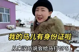 牧区养马这么现代？新疆巴里坤牧民给马安GPS，三匹宝马拥有“身份证”，8000亩草原随便跑！#新疆 #真实牧区生活视频封面