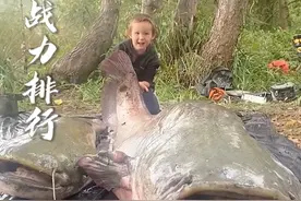 淡水鱼战力前十排行 #科普 #淡水鱼