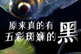 #原来真的有五彩斑斓的黑 ！ #揭秘黑水摄影   #暗夜深海的色彩太震撼  #纪录片《雅印风华》即将开播视频封面