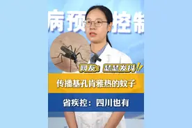 传播#基孔肯雅热 的#伊蚊  #四川 也有 是#白纹伊蚊 #广东