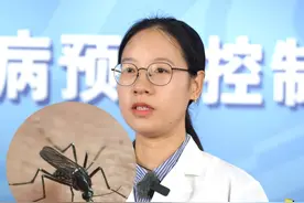 传播#基孔肯雅热 的#伊蚊  #四川 也有 是#白纹伊蚊 #广东