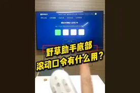 野草助手的功能你都了解吗？ #野草助手 #野草助手口令 #智能电视 #电视软件 #热播剧