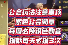 #DNF手游    公会玩法注意事项！紫色公会勋章 每周必换银色徽章视频封面