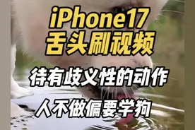 iPhone17舌头刷视频：待有歧义性的动作，人不做偏要学狗