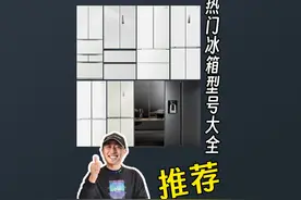 2024最全最有收藏价值的制冰冰箱型号分析 #家电#冰箱#冰箱推荐视频封面