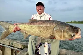 白莲湖的鱼情属实出乎我的意料，既然翘嘴钓不了，鲢鳙我还盘不到吗。#钓鱼人就是这么疯狂  #原来钓鱼才是抖音运动顶流