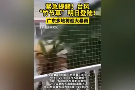 紧急提醒！台风“竹节草”明日登陆，广东多地将迎大暴雨#广东 #提醒 #台风 #竹节草