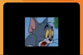 实锤！猫咪越胖寿命越短？ 后有猫咪肥胖自测图，评论区自测！#新手养猫 #科学养宠攻略 #减肥猫 #猫咪体型自测