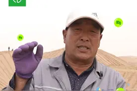 蚂蚁森林轻松攒能量妙招！ 甘肃武威蚂蚁森林种树人，教你如何快速攒能量！轻松四步，又攒到绿色能量啦！#甘肃武威  #绿色能量  #种树人 #蚂蚁森林视频封面