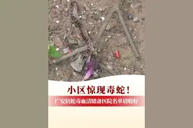 小区惊现毒蛇！广安抗蛇毒血清储备医院名单请收好#广安 #抗蛇毒血清 #医院