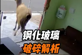 为什么钢化玻璃有时会破裂，有时不会？ #涨知识视频封面