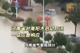 河南省对南阳市启动防汛一级应急响应视频封面
