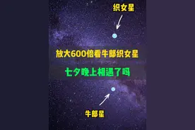 放大600倍看牛郎织女星七夕晚上相遇了吗 #天文 #七夕 #宇宙星图视频封面
