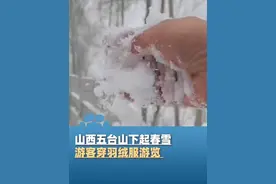4月12日，山西五台山下起春雪，游客穿羽绒服游览，景区客服：已暂停门票售卖视频封面
