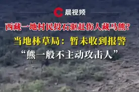 西藏一地村民投石驱赶伤人藏马熊？当地林草局：暂未收到报警，“熊一般不主动攻击人”#媒体精选计划 #野生动物 #藏马熊视频封面