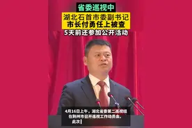 【湖北石首市委副书记市长付勇任上被查】5月11日，湖北省荆州市纪委监委发布消息，石首市委副书记、市长付勇涉嫌严重违纪违法，目前正接受审查调查。 #湖北 #石首视频封面