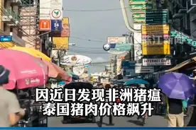 猪肉太贵了泰国人改吃鳄鱼肉 每公斤约合人民币23元视频封面