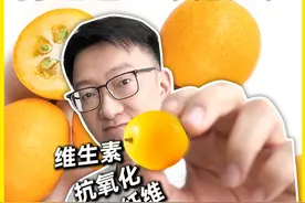 金桔连皮带肉吃的有福了，金桔的精华都在皮上！ #健康乘风计划 #金桔  #脆蜜金桔  #硬核健康科普行动 #抗氧化视频封面