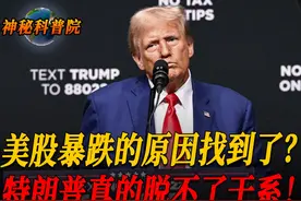 美股暴跌的原因是啥？川普政策与经济衰退造成美国市场恐慌？视频封面