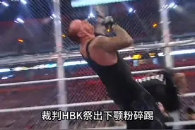 HBK想帮助好友HHH击败送葬者终结他的连胜纪录，于是成为特约裁判，比赛接近尾声时，HBK竟然多次下颚粉碎踢攻击了送葬者，但并没有将其击败。#wwe #送葬者 #HBK视频封面