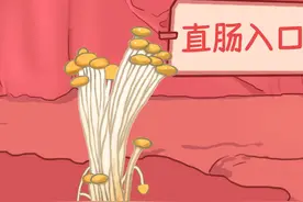 为什么金针菇也叫“明天见” #原创动画 #科普一下 #万物皆可达视频封面