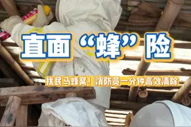 悦见丨扰民马蜂窝！消防员高效清除（岳阳日报全媒体记者 龙瑾 实习记者 朱梓维）视频封面