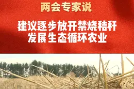 两会专家说：徐淙祥等代表建议逐步放开禁烧秸秆，发展生态循环农业 #三农智库 #民生 #秸秆焚烧 #2024全国两会视频封面