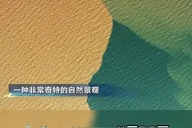 #山东海上鸳鸯锅有多惊艳黄河在这里入海，海河交汇的那一刹，一边是泛着黄色的河水，一边是蓝色的海水。然而这样的“鸳鸯锅”奇观并不多见。来#齐鲁文化大会   看山东海上“鸳鸯锅”！视频封面