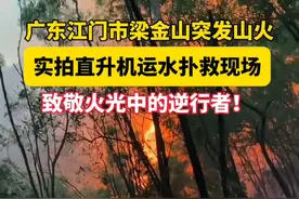 广东江门市梁金山突发山火，当地出动直升机运水扑救，致敬火光中的逆行者！视频封面