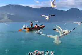 宝藏城市｜云南的生活美在自然、人心、民生。在云南你可以亲近漂洋过海的红嘴鸥，体验这里的风花雪月、绝美风光。#去云南阅尽绝美风光#旅游攻略#已经期待德宏的泼水节啦视频封面