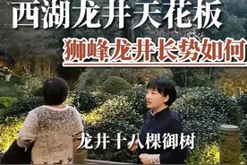 探访西湖龙井最最最核心产区 天下名茶数龙井，龙井上品在狮峰视频封面