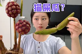 挑战只吃奇葩水果，这名字根本就没听过，长得也太抽象了！视频封面