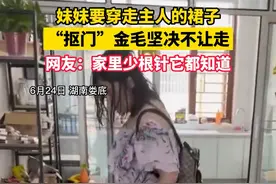 妹妹要穿走主人的裙子，抠门金毛咬着裙边就是不让出门，直到把裙子脱掉#金毛 #看家护院好帮手 视频封面