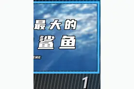 世界上最大的10种鲨鱼（1）