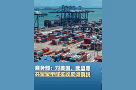 5月19日，商务部决定自今日起，对美国、欧盟等共聚聚甲醛征收反倾销税，期限为5年视频封面