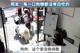 #萨摩耶 每天跟着主人上班，帮大家拿快递，主人：“熟悉的快递员来了会直接喊它” 网友：#每一口狗粮都是辛苦挣的 #聪明的狗狗 #总有温暖在身边 （视频来源：@萨摩耶肉肉 ）视频封面