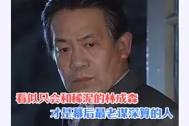 看似只会和稀泥的林成森，才是幕后最老谋深算的人 #影视解说视频封面