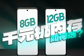 「WHYLAB」千元安卓 8GB 内存 VS 12GB 内存，8GB 手机 2025视频封面