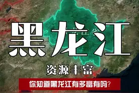 你知道黑龙江有多富有吗？ #地理 #地理科普 #黑龙江 #黑龙江杠杠滴视频封面