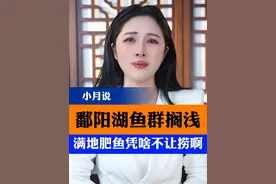 鄱阳湖鱼群搁浅，满地肥鱼凭啥不让捞啊。 #捞鱼 #保护生态 #环境保护 #小月说 #抖音热评