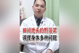 田间地头的野菠菜，调理身体多种问题#土大黄 #中医养生 #医学科普 #抖出健康知识宝藏