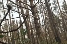 俄军神操作：在乌军光纤无人机飞过后把它的光纤剪断了 #热点