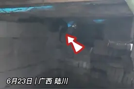30斤蟒蛇窜入鸡舍吞掉鸡，放生时又将鸡吐了出来？可能是晕车了......#蟒蛇 #陆川 #万万没想到 视频封面