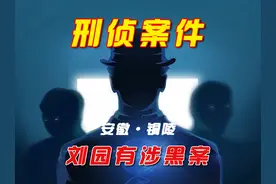 安徽铜陵，刘园有 涉黑涉恶案！ #案件故事解说 #真实事件改编视频封面