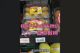 韩国人一小时工资购买力？ 瓜果蔬菜根本买不起 彻底刷新认知 韩国人一小时工资购买力？ 瓜果蔬菜根本买不起 彻底刷新认知#韩国物价暴涨 #吹爆美好目的地 #环球旅行 #首尔 #穷游视频封面